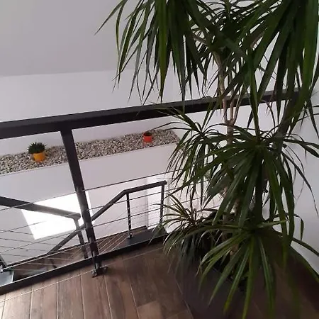 Apartman Kóczán *
